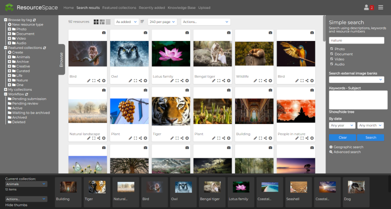 popular digital asset management tools