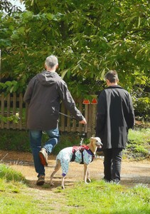 Community volunteering: OAS DH and NB