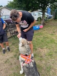 Community volunteering: NAWT KC and a dog