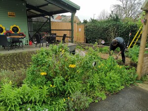 Community volunteering: KC lavender bed