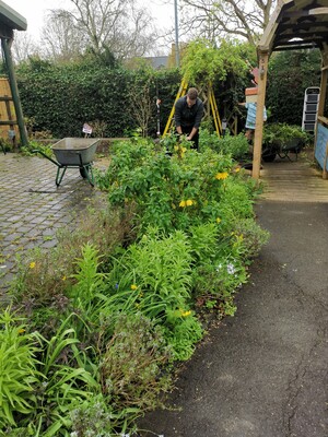 Community volunteering: KC weeding