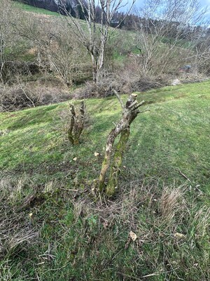 Community volunteering: MP Grasslands
