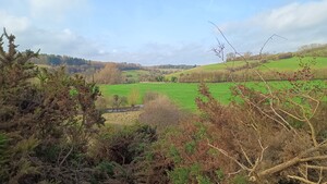 Community volunteering: DH Grasslands