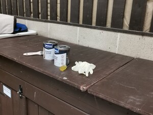 Community volunteering: NAWT varnish