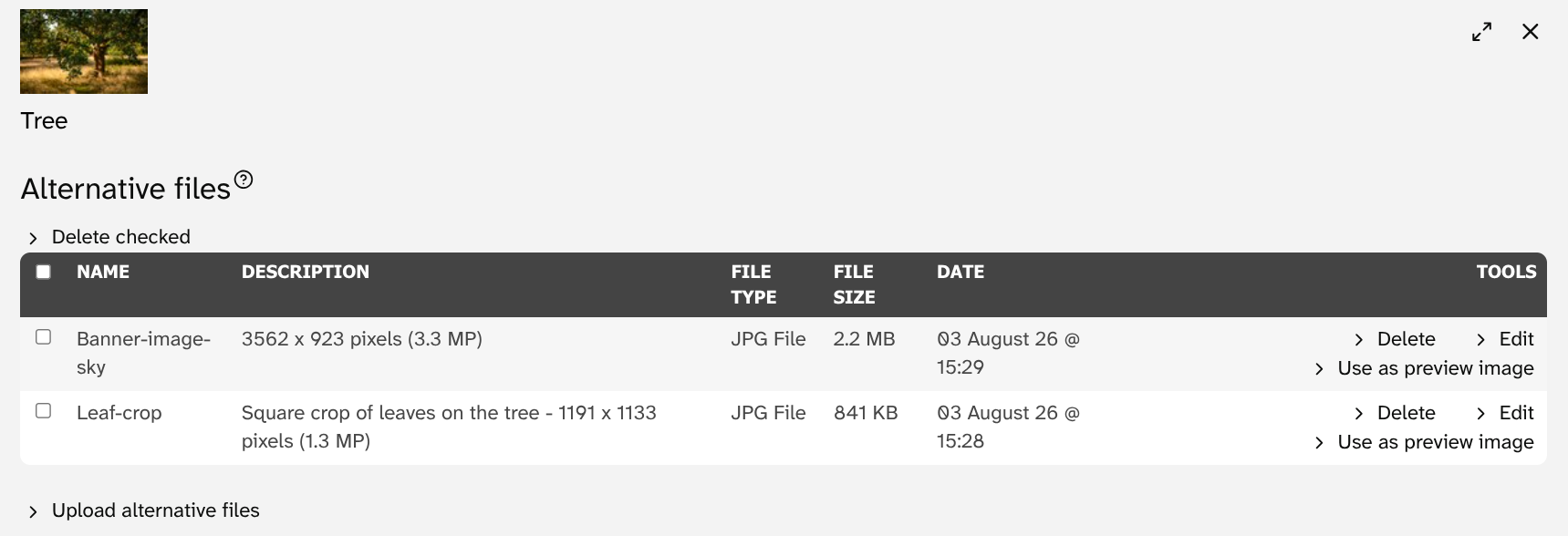 alt-file-2
