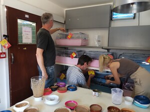 Community volunteering: O&F feeding hedgehogs