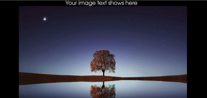 Convert a metadata field to an image caption
