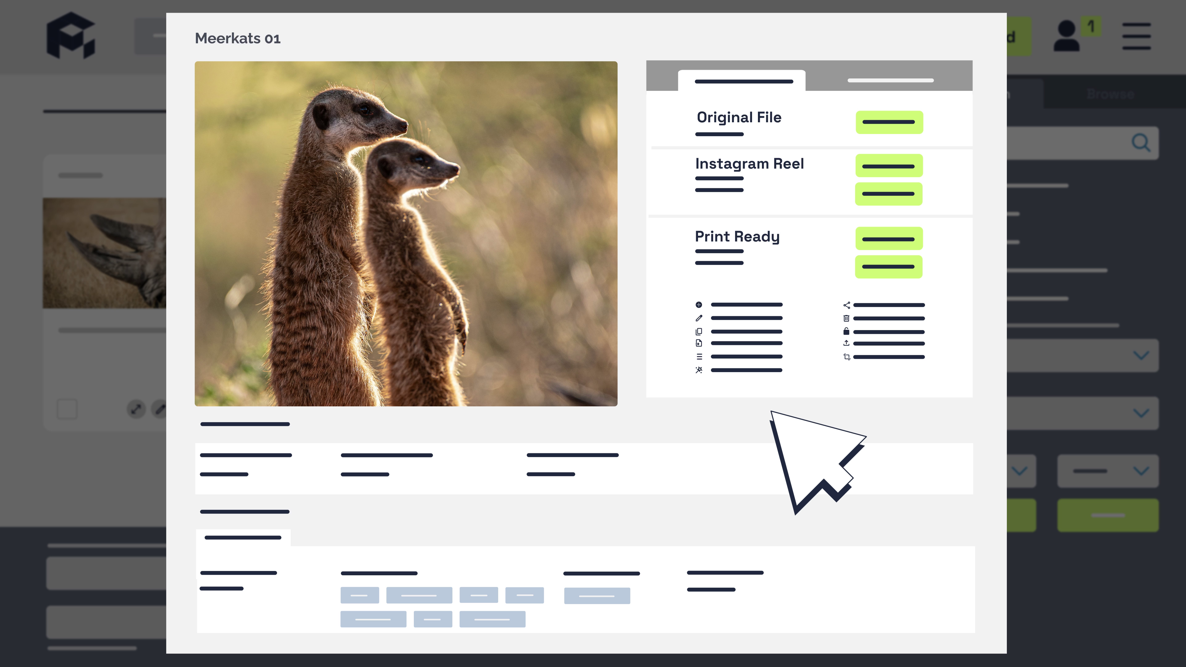 Creating different image versions