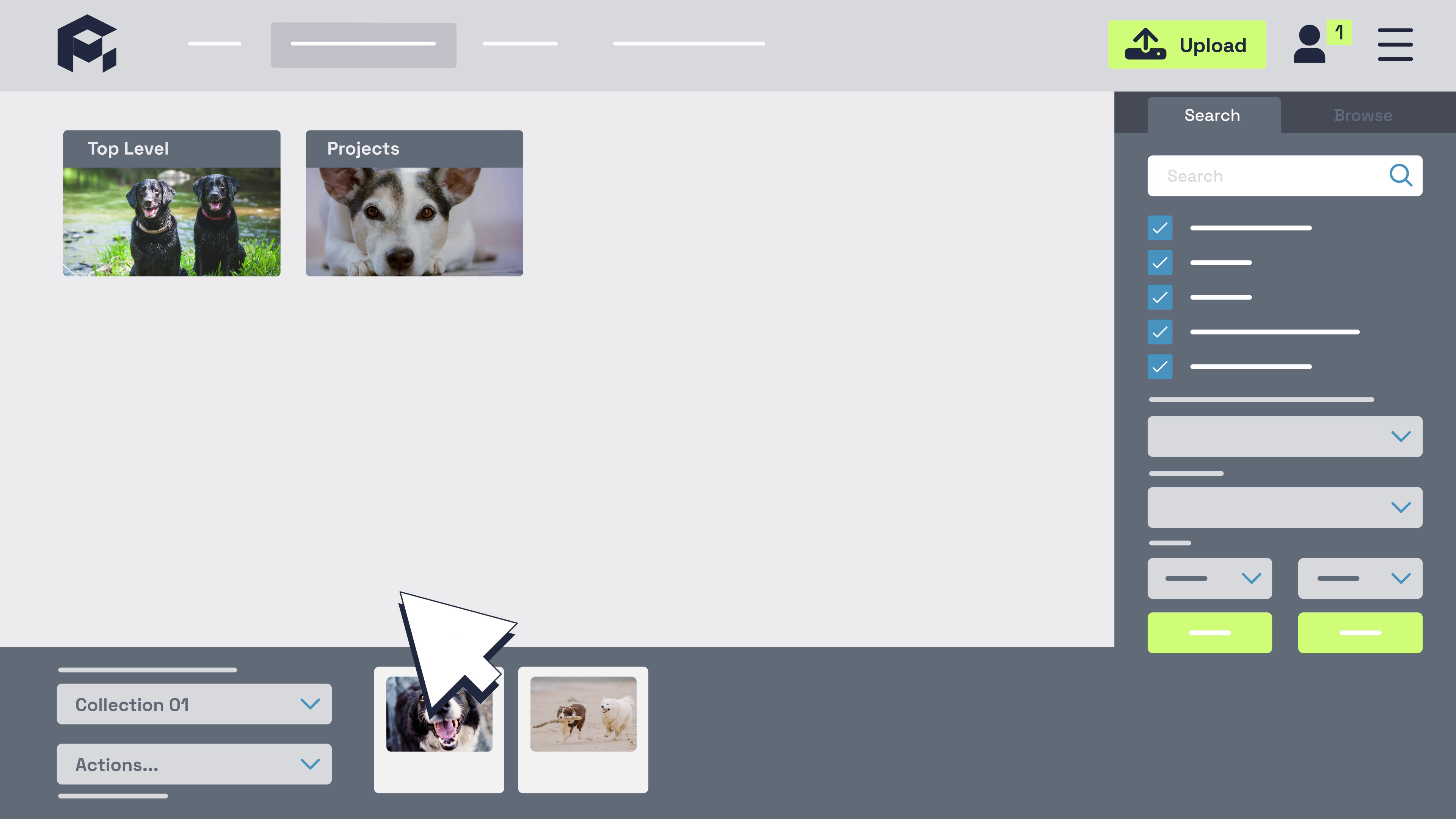 How to use ResourceSpace Collections